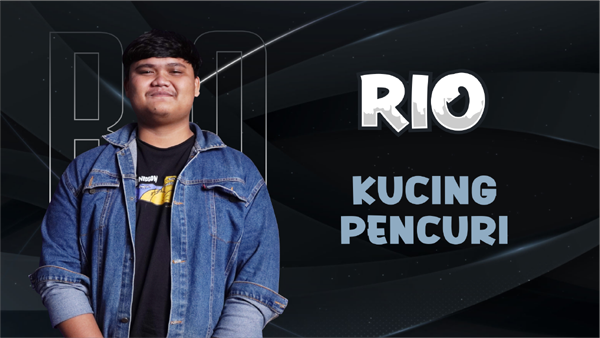 Video Kucing Pencuri